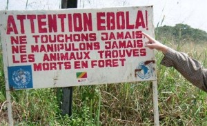 el-ebola-como-un-arma-biologica1